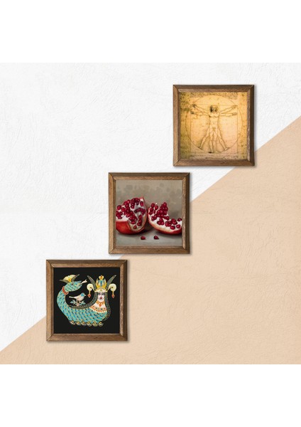 Leonardo da Vinci Vitruvius Adamı, Şahmeran, Nar Ahşap Çerçeveli Taş Duvar Tablosu 3’lü Set – 25x25 cm Dekoratif Modern Sanat – Ev ve Ofis Dekoru |W3-959| indirimleri