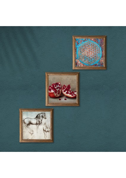 Yaşam Çiçeği, Leonardo da Vinci At Heykeli, Nar Ahşap Çerçeveli Taş Duvar Tablosu 3’lü Set – 25x25 cm Dekoratif Modern Sanat – Ev ve Ofis Dekoru |W3-1321| modelleri