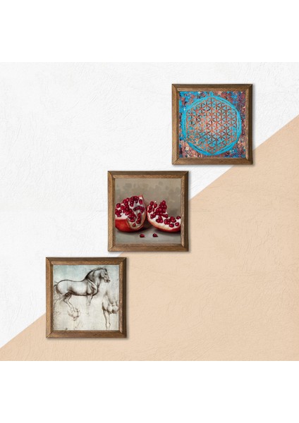Yaşam Çiçeği, Leonardo da Vinci At Heykeli, Nar Ahşap Çerçeveli Taş Duvar Tablosu 3’lü Set – 25x25 cm Dekoratif Modern Sanat – Ev ve Ofis Dekoru |W3-1321| indirimleri