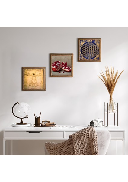 Yaşam Çiçeği, Leonardo da Vinci Vitruvius Adamı, Nar Taş Duvar Tablosu Ahşap Çerçeveli Duvar Dekoru 3 Parça Tablo Seti Wall Art W3-1367