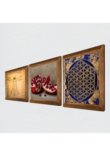 Yaşam Çiçeği, Leonardo da Vinci Vitruvius Adamı, Nar Taş Duvar Tablosu Ahşap Çerçeveli Duvar Dekoru 3 Parça Tablo Seti Wall Art W3-1367 fiyatları