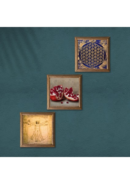Yaşam Çiçeği, Leonardo da Vinci Vitruvius Adamı, Nar Taş Duvar Tablosu Ahşap Çerçeveli Duvar Dekoru 3 Parça Tablo Seti Wall Art W3-1367 modelleri