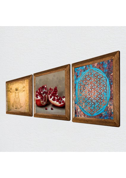 Yaşam Çiçeği, Leonardo da Vinci Vitruvius Adamı, Nar Taş Duvar Tablosu Ahşap Çerçeveli Duvar Dekoru 3 Parça Tablo Seti Wall Art W3-1378