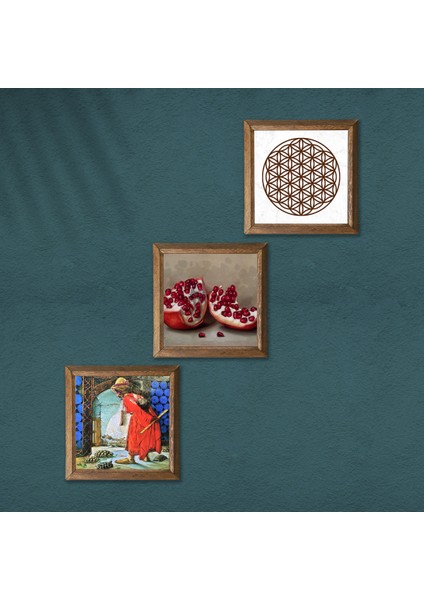 Yaşam Çiçeği, Kaplumbağa Terbiyecisi, Nar Taş Duvar Tablosu Ahşap Çerçeveli Duvar Dekoru 3 Parça Tablo Seti Wall Art W3-1544 modelleri