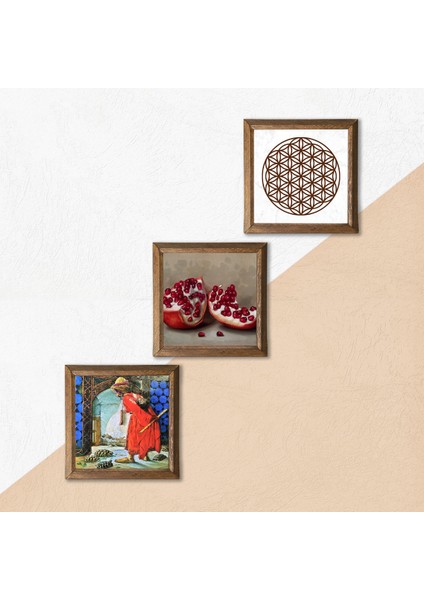 Yaşam Çiçeği, Kaplumbağa Terbiyecisi, Nar Taş Duvar Tablosu Ahşap Çerçeveli Duvar Dekoru 3 Parça Tablo Seti Wall Art W3-1544 indirimleri