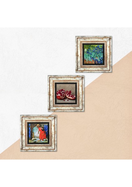 Van Gogh İrisler, Kaplumbağa Terbiyecisi, Nar Taş Duvar Tablosu Çerçeveli Duvar Dekoru 3 Parça Tablo Seti Wall Art T3-1530 indirimleri