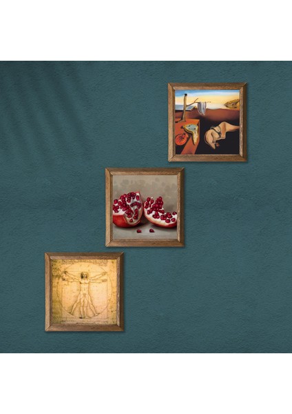 Salvador Dalí Belleğin Azmi, Da Vinci Vitruvius Adamı, Nar Taş Duvar Tablosu Ahşap Çerçeveli Duvar Dekoru 3 Parça Tablo Seti Wall Art W3-1400