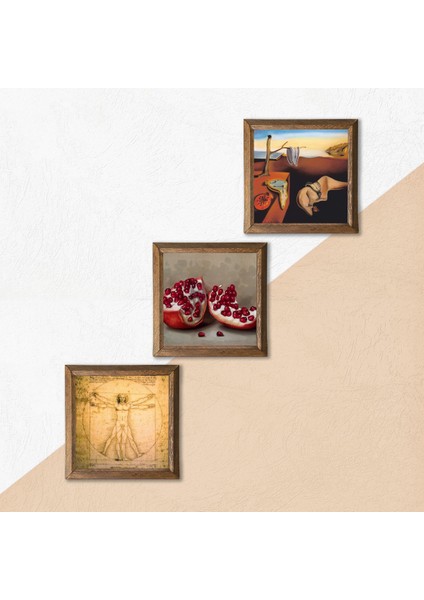 Salvador Dalí Belleğin Azmi, Da Vinci Vitruvius Adamı, Nar Taş Duvar Tablosu Ahşap Çerçeveli Duvar Dekoru 3 Parça Tablo Seti Wall Art W3-1400