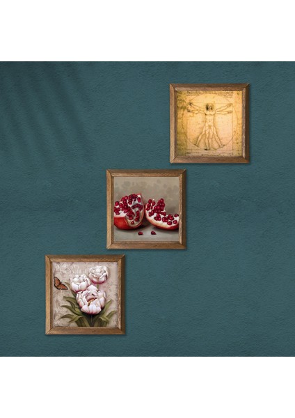 Leonardo da Vinci Vitruvius Adamı, Kelebekli Çiçek, Nar Taş Duvar Tablosu Ahşap Çerçeveli Duvar Dekoru 3 Parça Tablo Seti Wall Art W3-1205