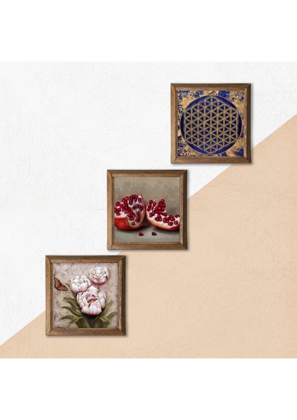 Yaşam Çiçeği, Kelebekli Çiçek, Nar Taş Duvar Tablosu Ahşap Çerçeveli Duvar Dekoru 3 Parça Tablo Seti Wall Art W3-1239