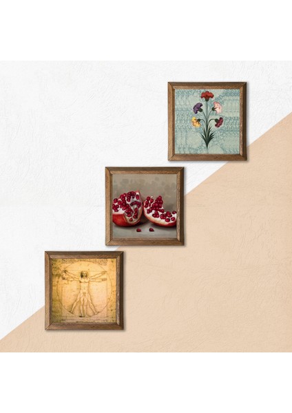 Ebru Sanatı, Leonardo da Vinci Vitruvius Adamı, Nar Taş Duvar Tablosu Ahşap Çerçeveli Duvar Dekoru 3 Parça Tablo Seti Wall Art W3-1388 indirimleri