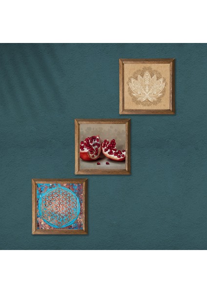 Yaşam Çiçeği, Lotus Çiçeği, Nar Taş Duvar Tablosu Ahşap Çerçeveli Duvar Dekoru 3 Parça Tablo Seti Wall Art W3-1644 modelleri