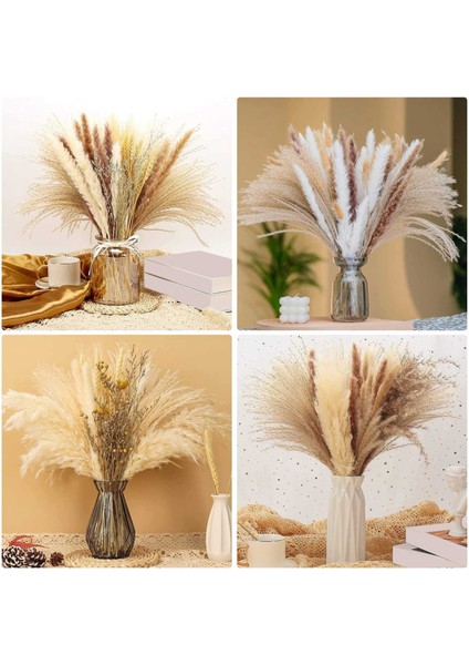 Kurutulmuş Pampas Otu 45CM Kurutulmuş Çiçekler Dekor Fotoğraf Düğün Için (Yurt Dışından)