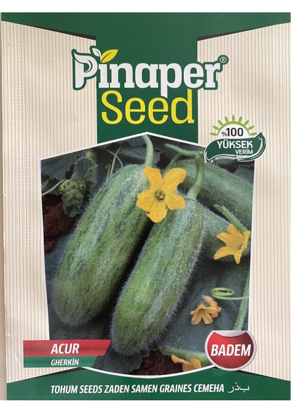 Pinaper Seed Acur Tohumu - Badem - 10GR