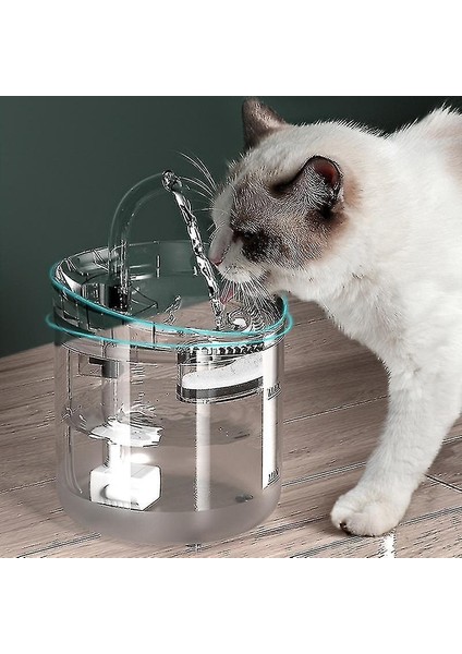 Otomatik Kedi Içme Çeşmesi 2l Yavru Kedi Içme Çeşmesi (Yurt Dışından) fırsatları