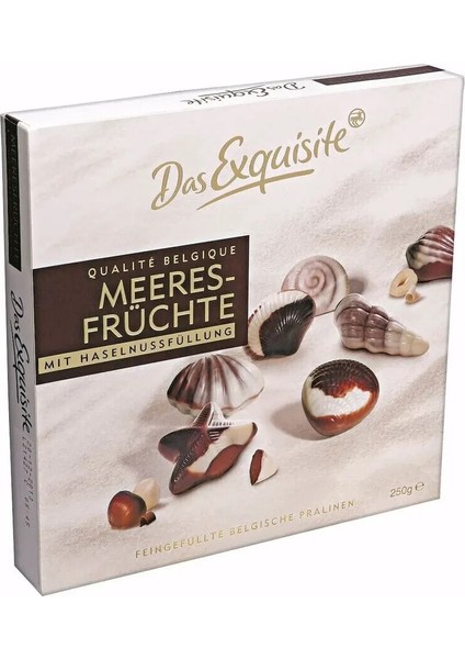 Kutu Çikolata Deniz Kabukları 250 gr