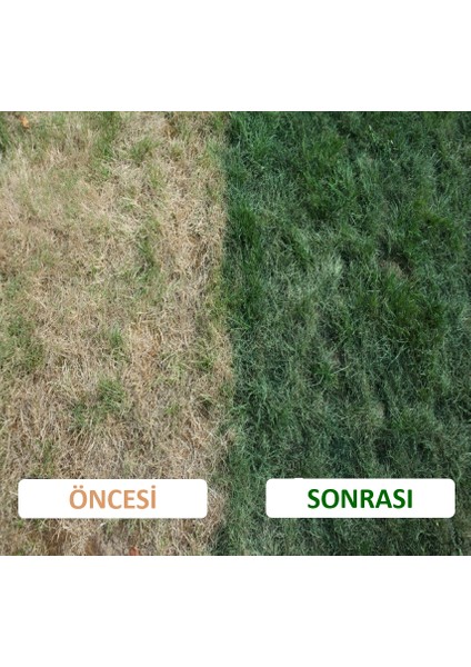 Çim Boyası 5 litre modelleri