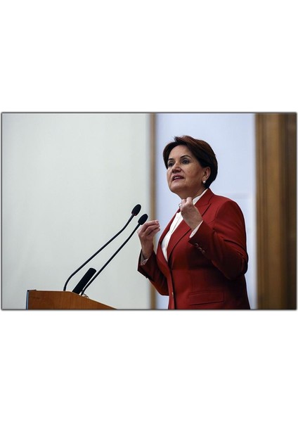 Meral Akşener Kanvas Tablo