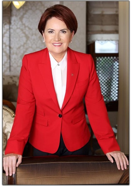 Meral Akşener Kanvas Tablo