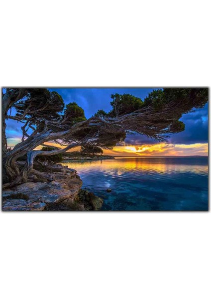 Gün Batımında Ağaç ve Göl Kanvas Tablo
