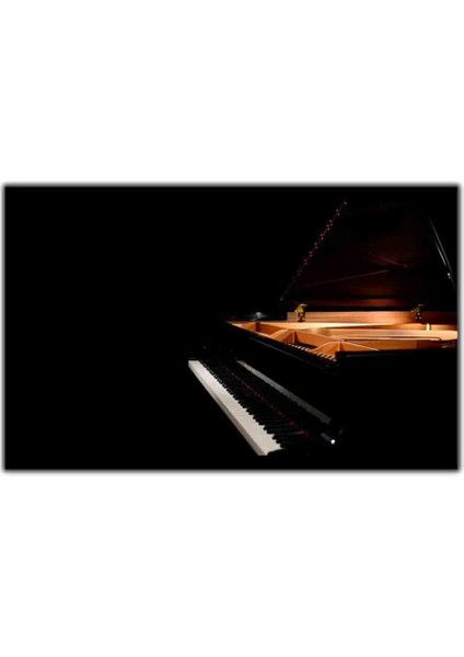 Siyah Piano Kanvas Tablo