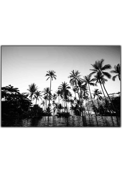 Siyah Beyaz Palmiyeler Kanvas Tablo