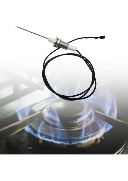 Kıvılcım Igritor Ateşleme Fırını Için Seramik Ateşleme (Yurt Dışından) fiyatları