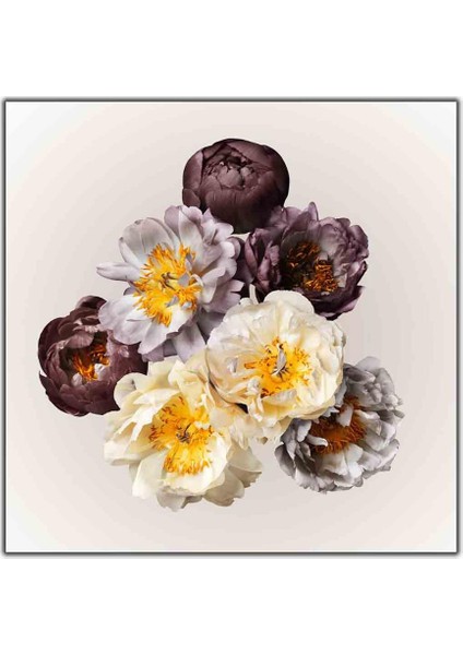 Beyaz ve Siyah Renkli Şakayıklar Kanvas Tablo