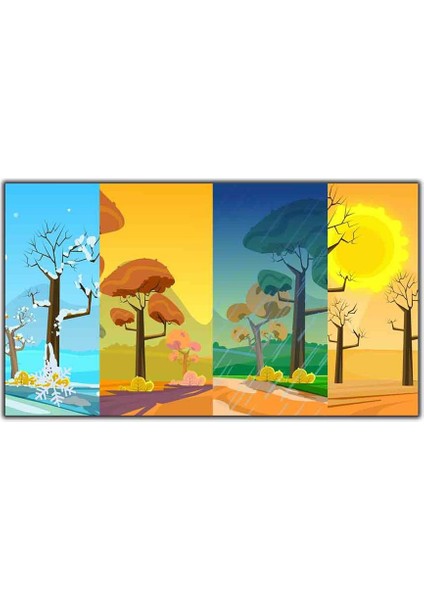 4 Mevsim Illustrasyon Kanvas Tablo