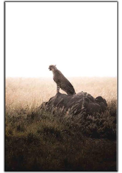 Avını Bekleyen Çita Kanvas Tablo