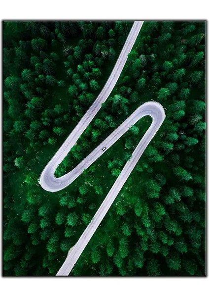 Kuş Bakışı Orman ve Otoyol Kanvas Tablo