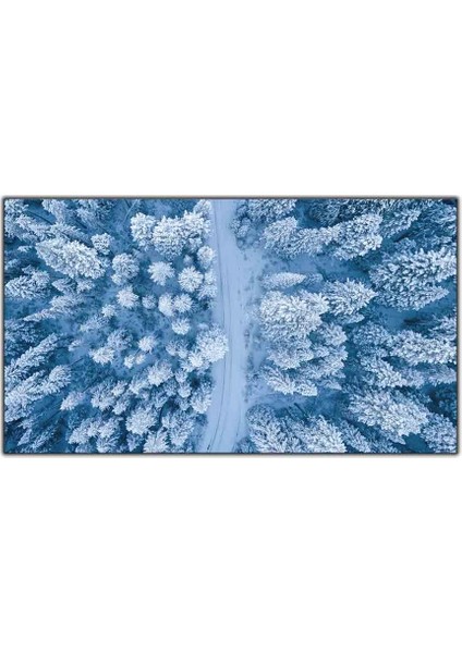 Kuş Bakışı Karlı Orman ve Yol Kanvas Tablo