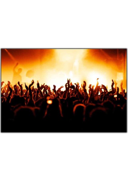 Konser Alanı Kanvas Tablo