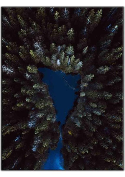 Kuş Bakışı Çam Ağaçların Arasındaki Göl Kanvas Tablo