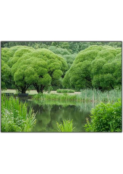 Yeşillerin Arasındaki Göl Kanvas Tablo