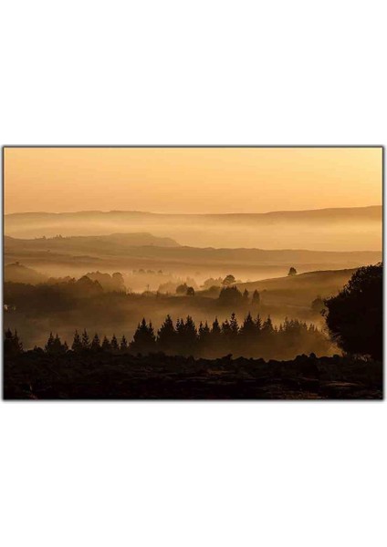 Puslu Orman Manzarası Kanvas Tablo