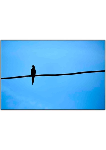 Daldaki Yalnız Kuş Kanvas Tablo