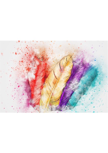 Renkli Tüyler Soyut Kanvas Tablo