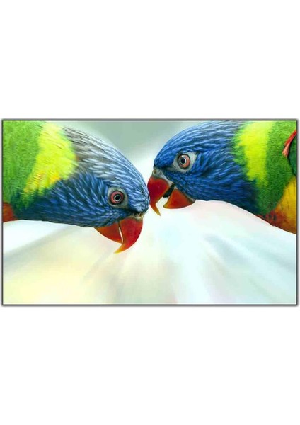 Mavi Kafalı Kırmızı Gagalı Kuşlar Kanvas Tablo