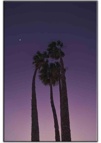 Mor Gökyüzü ve Palmiyeler Kanvas Tablo