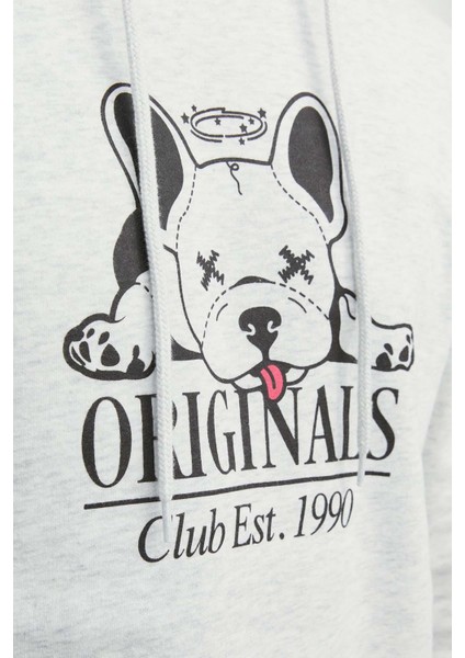 Jorbeware Sweat Hood Fst Erkek Gri Sweatshirt 12244219-Grey fiyatları