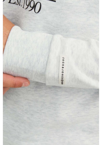 Jorbeware Sweat Hood Fst Erkek Gri Sweatshirt 12244219-Grey modelleri