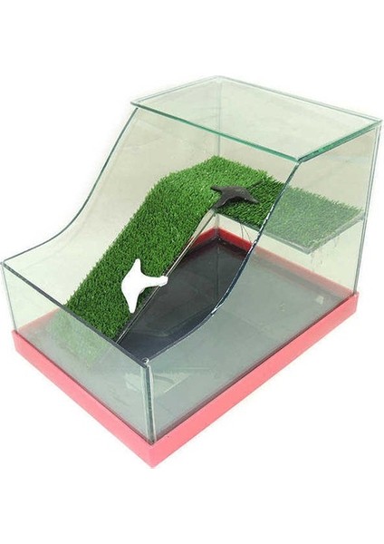 Kaplumbağa Bahçesi Cam Akvaryum