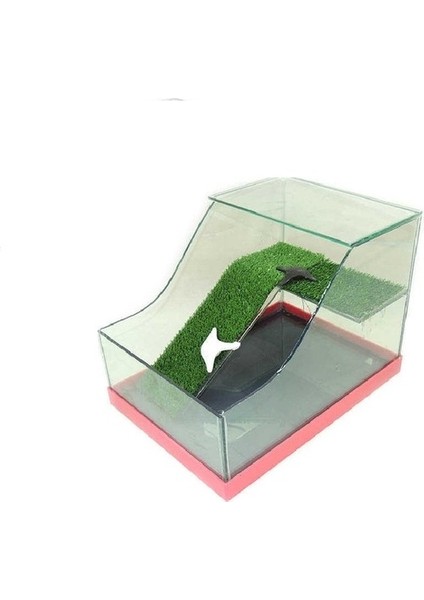 Kaplumbağa Bahçesi Cam Akvaryum fiyatları