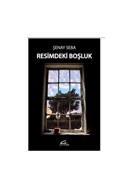 Resimdeki Boşluk - Şenay Seba