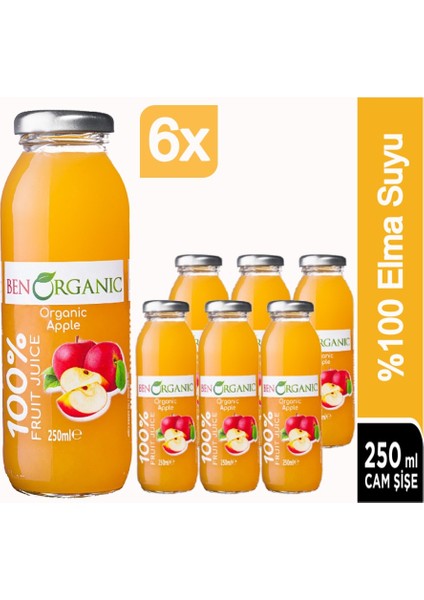 Ben Organic Elma Suyu 6 x 250 ml