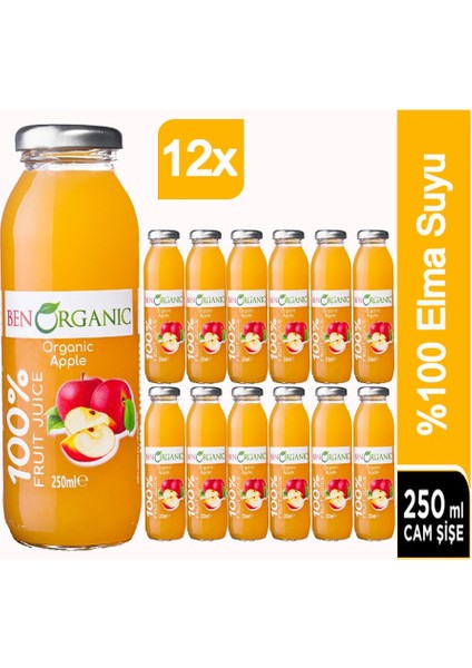 Ben Organic Elma Suyu 12 x 250 ml