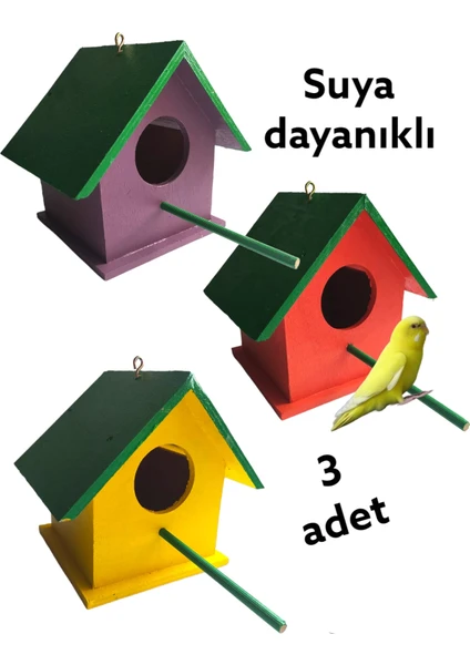 Değerli Hobi Ahşap Kavak Ağacı  Kuş Yuvası Dış Mekan Suya Dayanıklı 3 Adet