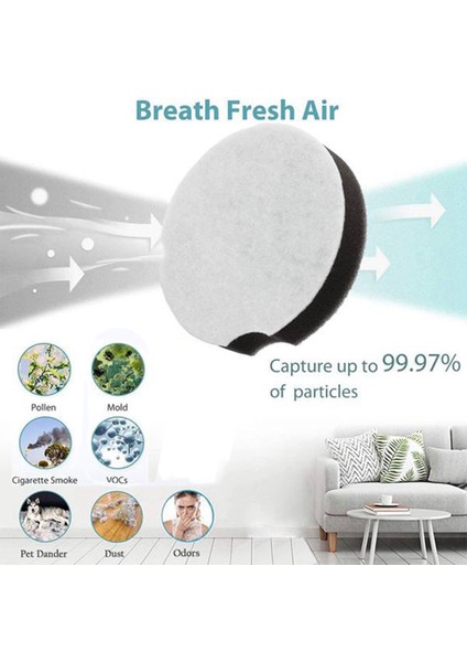 Powerforce Kompakt Dik 1520 ve 2112 Serisi Elektrikli Süpürge Için 5 Paket Yedek Filtre, Parça 1604896 (Yurt Dışından)