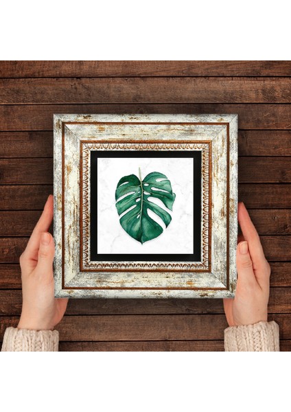 Yaprak Taş Duvar Tablosu Çerçeveli Duvar Dekoru Wall Art T1-195
